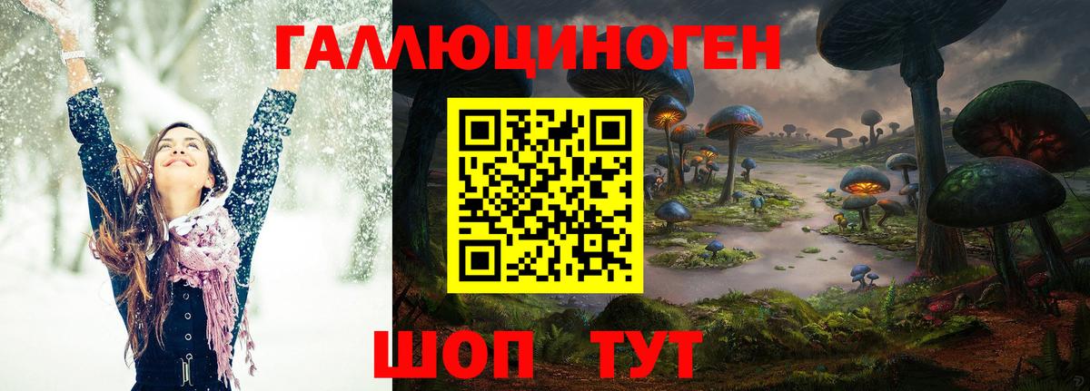 Псилоцибиновые грибы GOLDEN TEACHER  Вход с VPN  Псилоцибиновые грибы GOLDEN TEACHER  Ликино-Дулёво 
